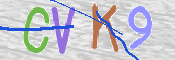Immagine CAPTCHA
