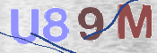 Immagine CAPTCHA