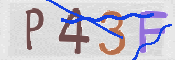 Immagine CAPTCHA