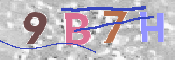 Immagine CAPTCHA