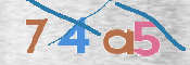 Immagine CAPTCHA