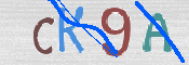 Immagine CAPTCHA