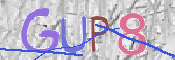 Immagine CAPTCHA