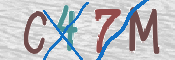 Immagine CAPTCHA