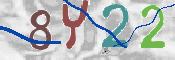 Immagine CAPTCHA