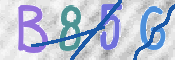 Immagine CAPTCHA