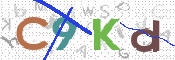Immagine CAPTCHA