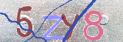 Immagine CAPTCHA