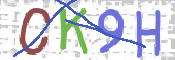 Immagine CAPTCHA