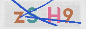 Immagine CAPTCHA