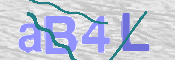 Immagine CAPTCHA