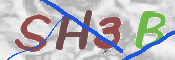 Immagine CAPTCHA