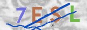 Immagine CAPTCHA