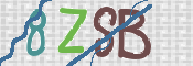 Immagine CAPTCHA