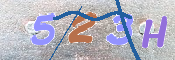 Immagine CAPTCHA