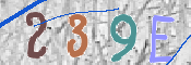 Immagine CAPTCHA