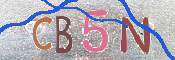 Immagine CAPTCHA