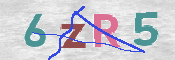 Immagine CAPTCHA