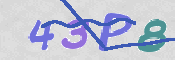Immagine CAPTCHA