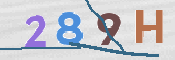 Immagine CAPTCHA