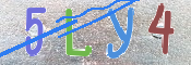 Immagine CAPTCHA