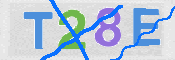 Immagine CAPTCHA