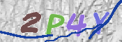 Immagine CAPTCHA
