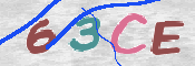 Immagine CAPTCHA