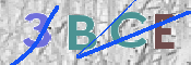 Immagine CAPTCHA