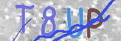 Immagine CAPTCHA