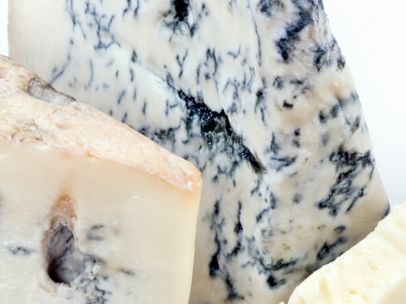 Muffa nel cibo: quando è gustosa e quando pericolosa