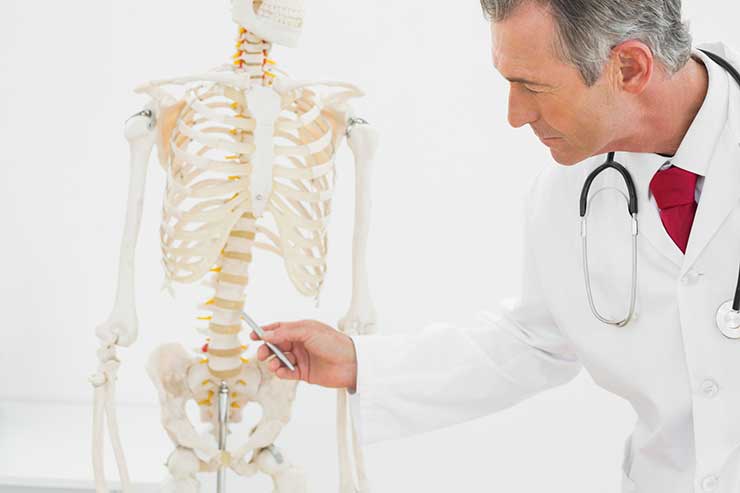 Osteopatia, un’alleata contro i disturbi urologici