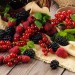 Frutti di bosco
