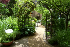 Healing garden