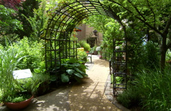 Healing garden