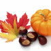Zucca e castagne