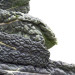 Cavolo nero