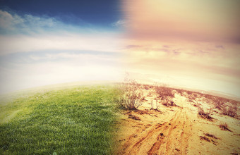 Cambiamenti climatici e salute