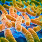 Superbatterio e antibiotico resistenza