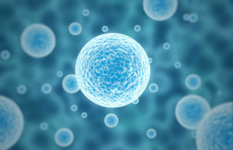Cellule staminali contro le cellule tumorali