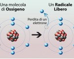 radicali liberi