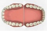 Panoramica dentale