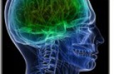 L'Helicobacter Pilori e Parkinson