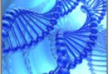 Più alta probabilità di sviluppare il cancro per alcolisti