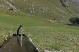 L'acqua di sorgente