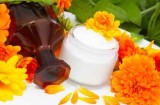 Calendula