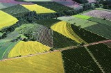 Biodiversità in agricoltura