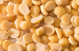 Legume caiano dettaglio
