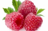 I frutti di bosco