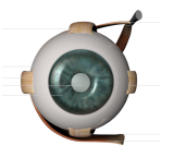 GLAUCOMA